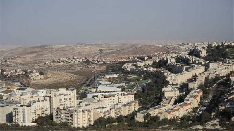 الاتحاد الأوروبي