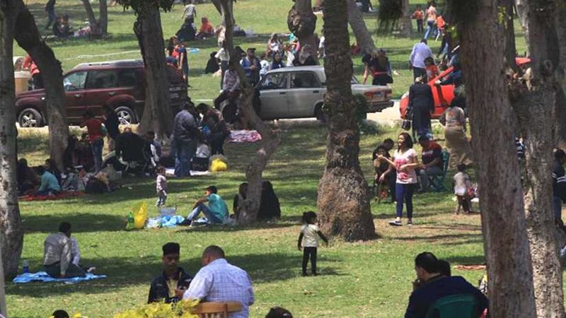 محافظ المنيا: فتح