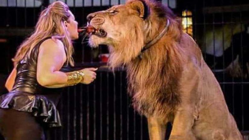 السيرك القومي يفتتح