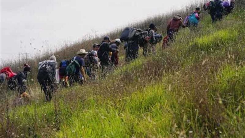 المكسيك توقف قافلة