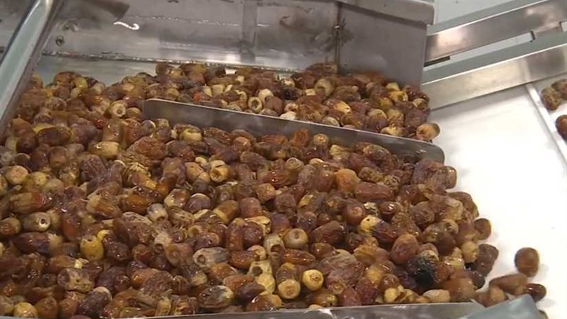 التليفزيون الصيني: