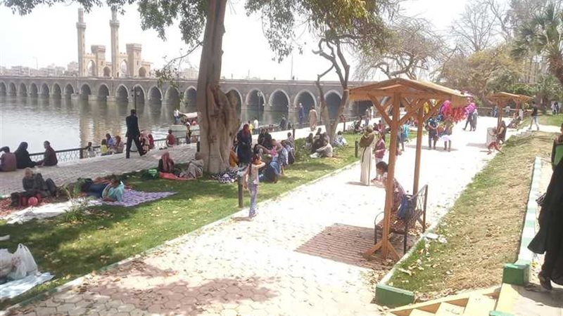 موجز 24 ساعة.. المصريون