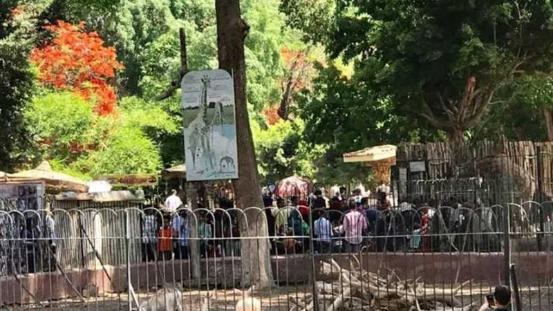 45 الف زائر لحديقة