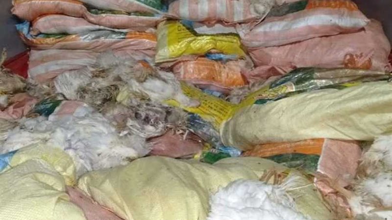 ضبط سيارتين محملتين