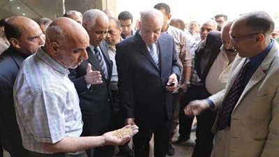 صوامع الجيزة تستقبل 202 ألف طن قمح خلال شهر مايو