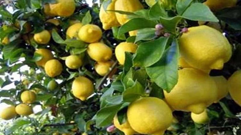 تعرّف على أسباب ارتفاع