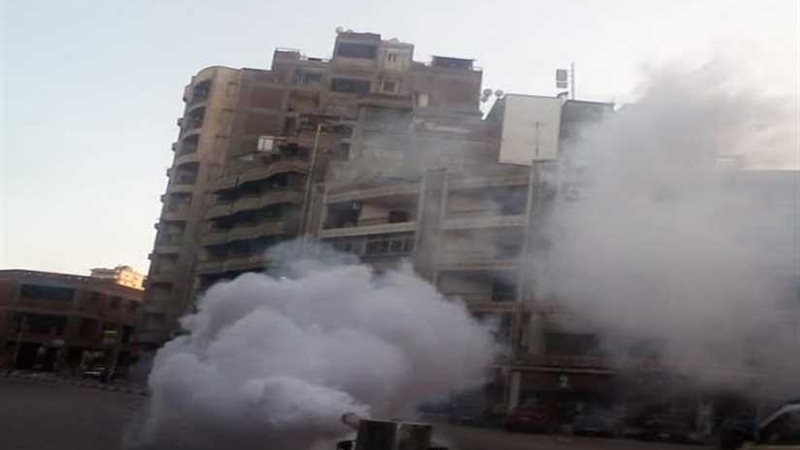 الدقهلية تواجه الذباب