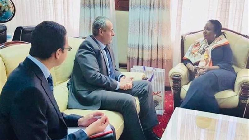 السفير المصري في