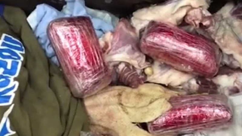 أمن مطار القاهرة