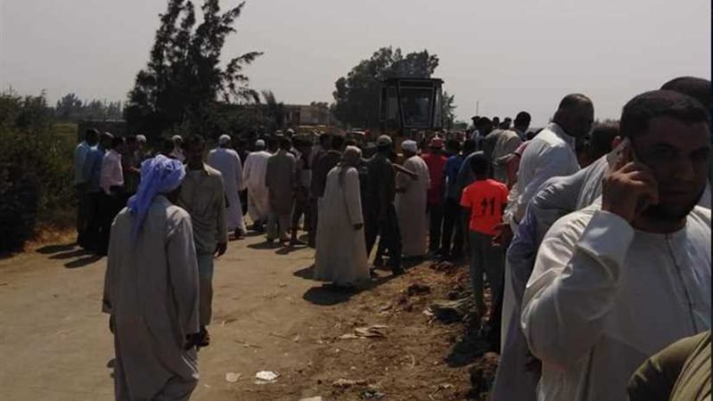 محافظ البحيرة ونائب