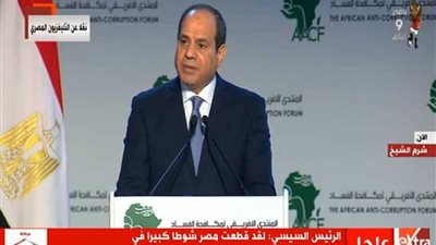 السيسي: مصر تلتزم بالمعايير الدولية في مكافحة الفساد (فيديو)