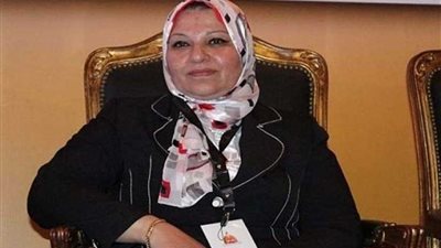 شركة نقل الكهرباء تتعاقد مع شركة الخدمات البترولية لتنظيف الأبراج والخطوط بقيمة 36 مليون جنيه