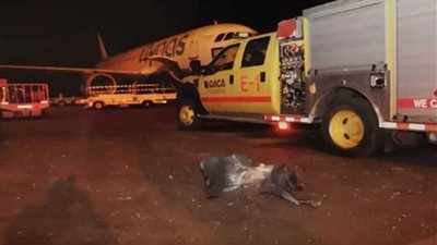 اليمن يدين استهداف مليشيا الحوثي صالة القدوم بمطار أبها الدولى