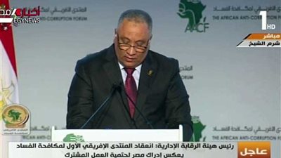 نشرة 24 ... المشاركون في 