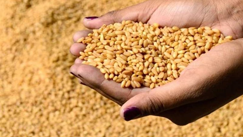 السلع التموينية تتعاقد