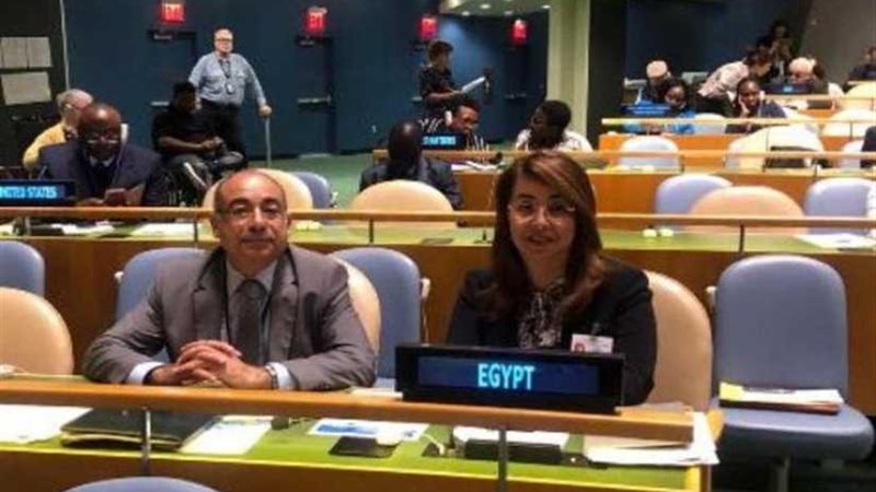 والي تترأس وفد مصر