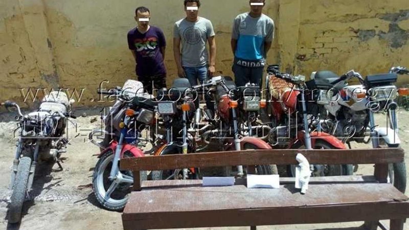 سقوط تشكيل سرقة الدراجات