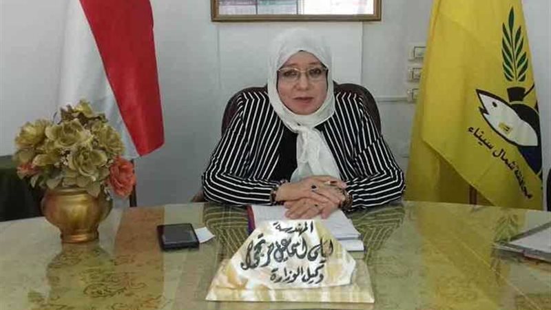 محافظ شمال سيناء