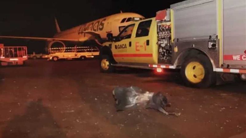 اليمن يدين استهداف