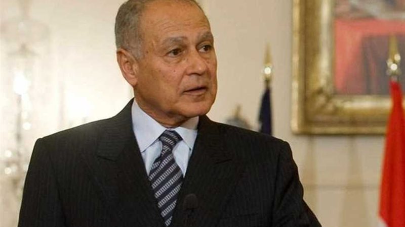 أبو الغيط يناقش مع