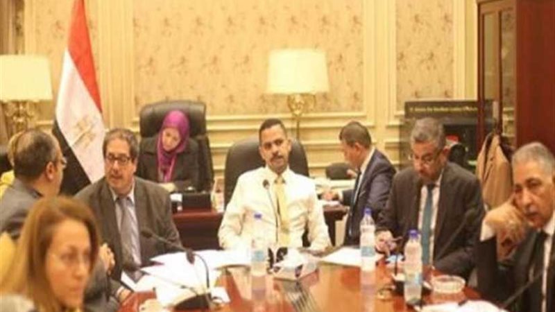 لجنة الشباب والرياضة