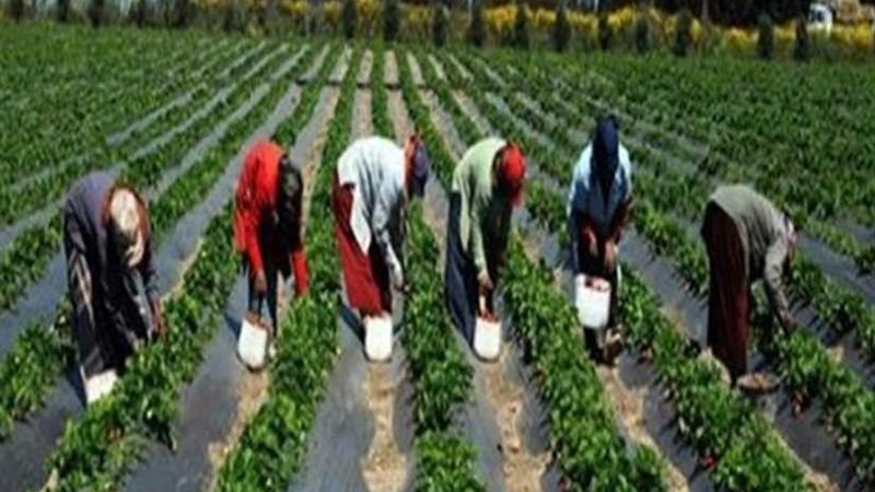 توصيات المؤتمر الوطني