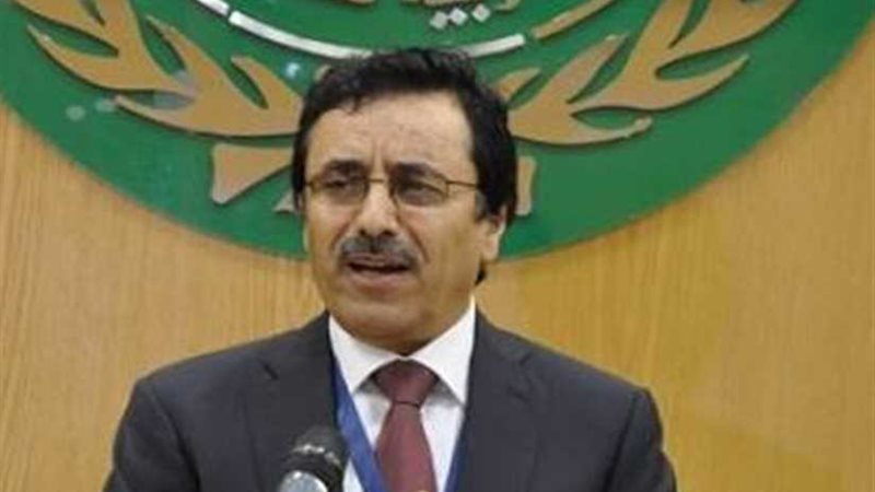 المنظمة العربية للتنمية