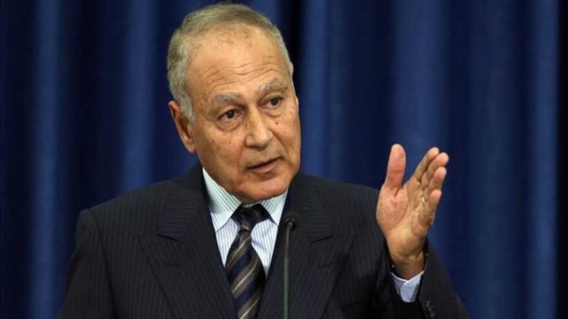 أبو الغيط: حل الوضع