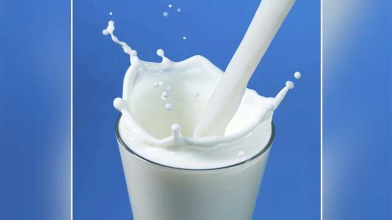 علماء.. بكتيريا الألبان