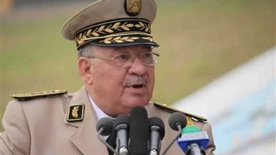 رئيس الأركان الجزائري: حالة الفراغ الدستوري تعني هدم أسس الدولة