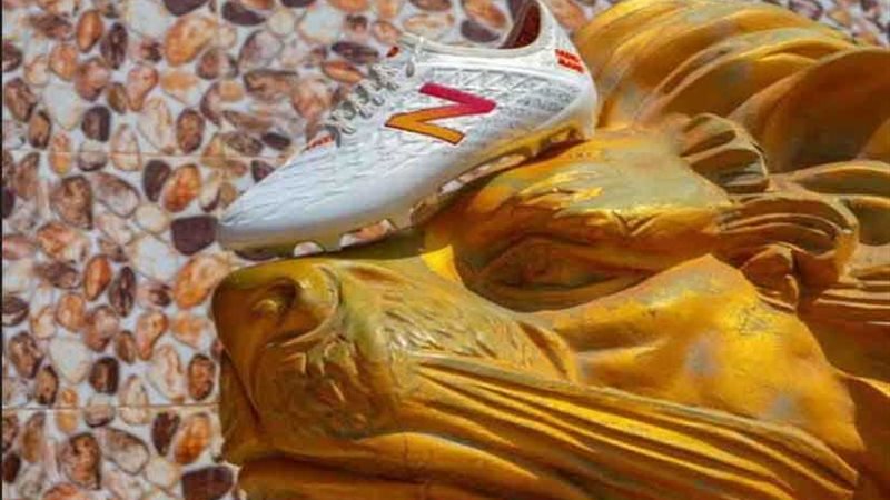 ‌بالصور.. حذاء ساديو