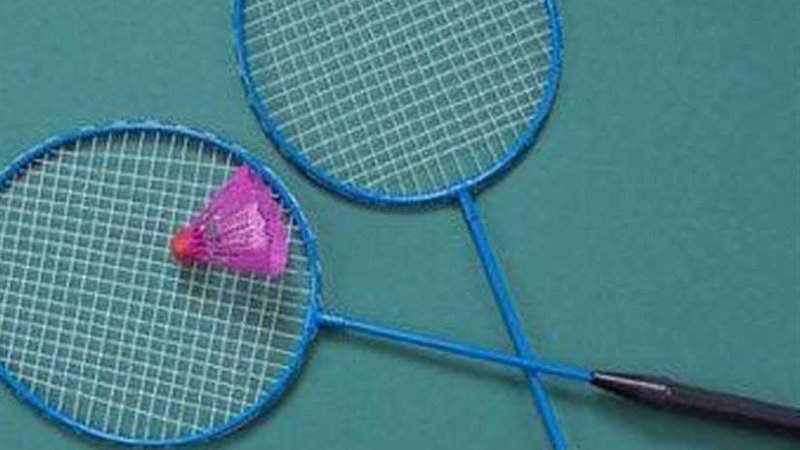 بعثة الريشة الطائرة