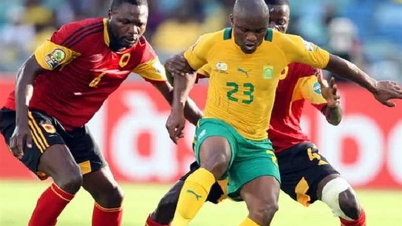 إلغاء ودية جنوب إفريقيا