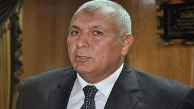 شاشات عملاقة لبث مباريات كأس الأمم الأفريقية لكرة القدم بالوادي الجديد