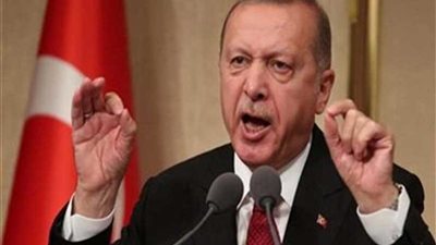 «تنسيقية شباب الأحزاب»: تصريحات أردوغان ضد مصر رهان خاسر ومتاجرة رخيصة