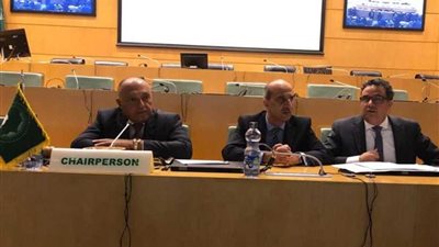 الاجتماع الوزاري للشركاء الإقليميين: مصر تنسق الجهود الإقليمية لدعم السودان