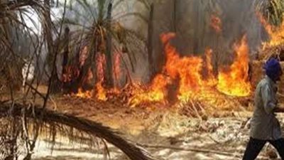 نفوق 14 رأس ماشية في حريق منزل بقرية النبيرة فى البحيرة