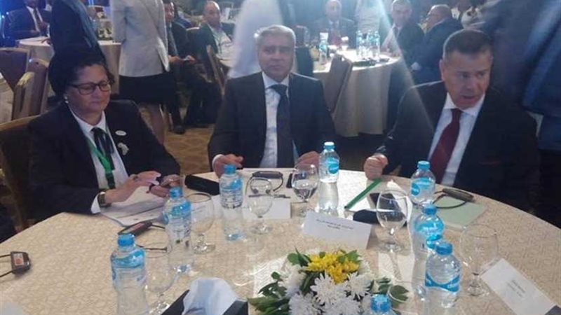 محافظ المنيا يشارك