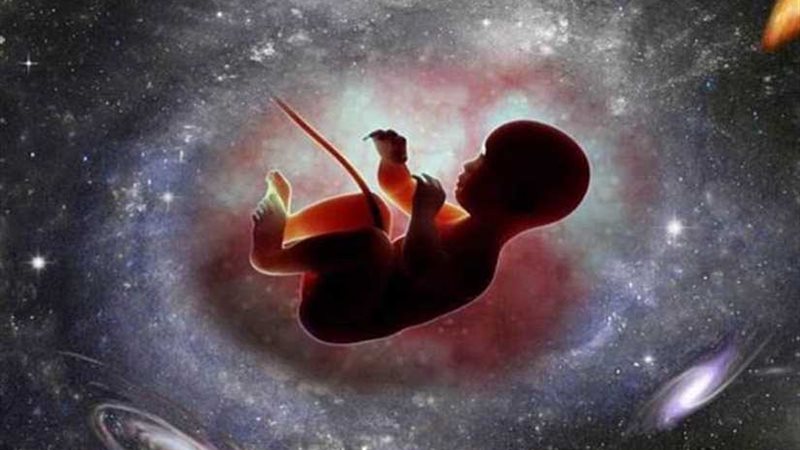 هل يشهدُ العالم ولادة