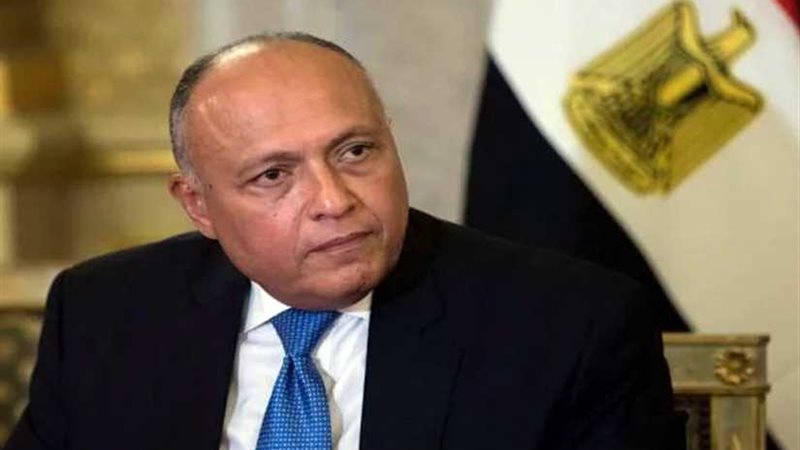 شكري: العودة إلى