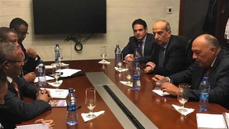 شكري يبحث مع نظيره