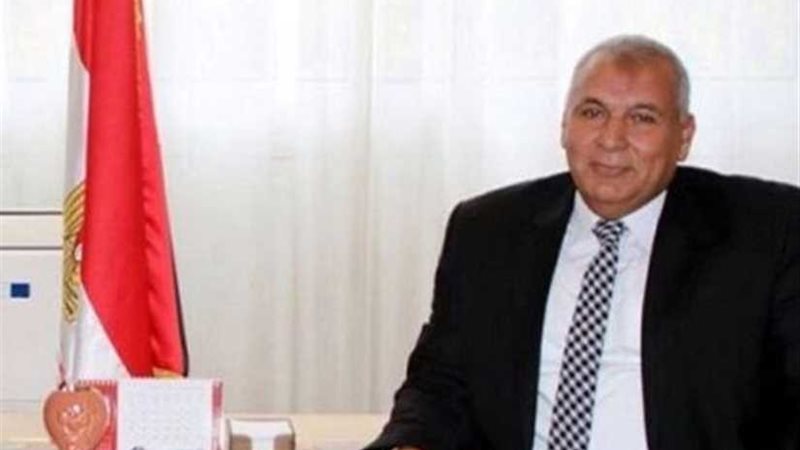 محافظ الوادي الجديد: