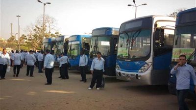 شاشات عرض للبطولة لسائقي الأتوبيس