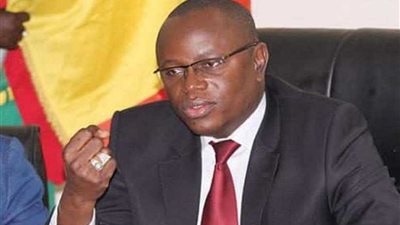 وزير الرياضة السنغالي ونجل رئيس غينيا يؤازران منتخبيهما بكأس أمم أفريقيا