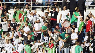 حضور مبكر للجماهير الجزائرية قبل مواجهة منتخب كينيا في كأس أمم إفريقيا