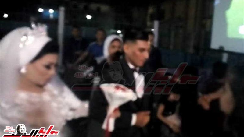 مصر بتفرح.. عروسان