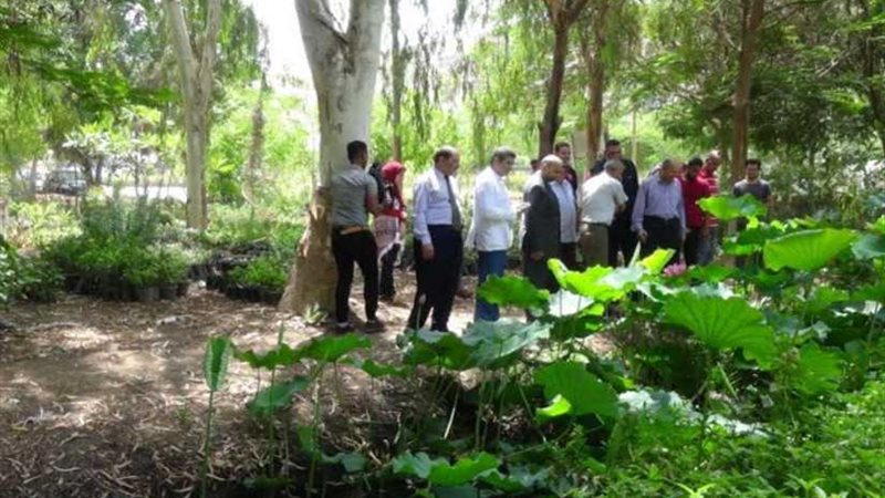 رئيس جامعة المنيا