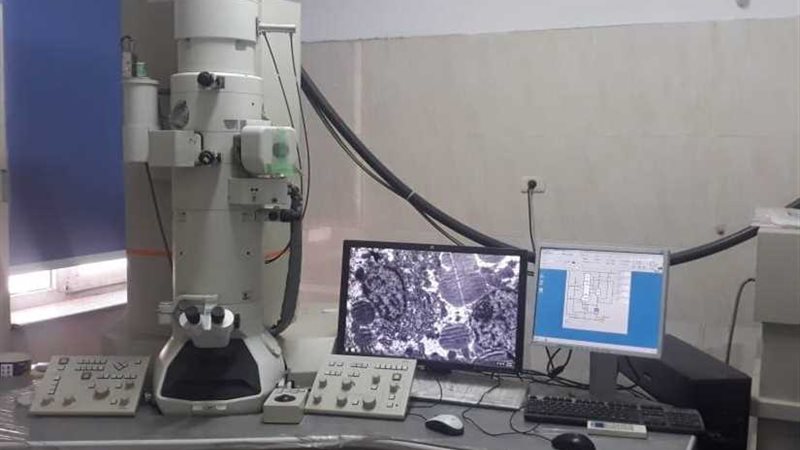 وحدة ميكروسكوب إلكتروني