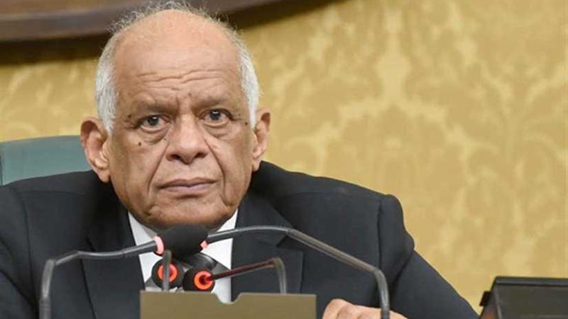 عبد العال: الحكومة