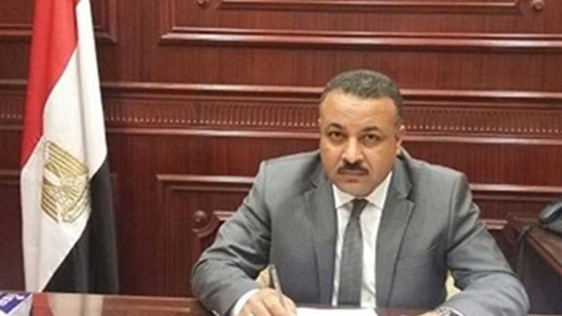 ممثل مستقبل وطن بالنواب: